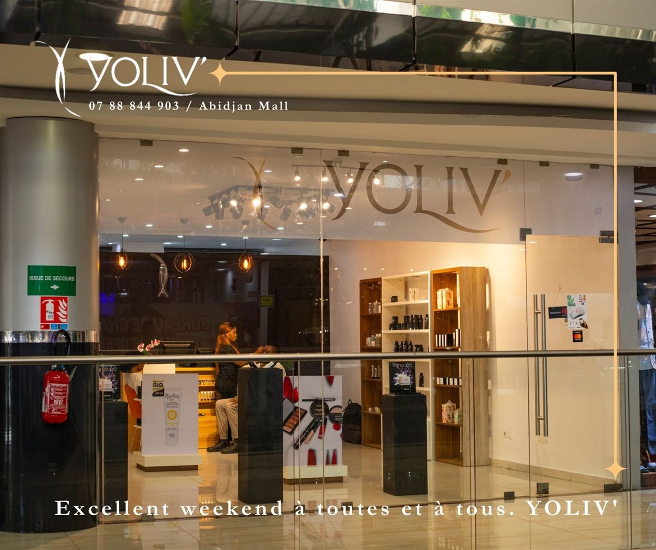 Création sociale YOLIV 1