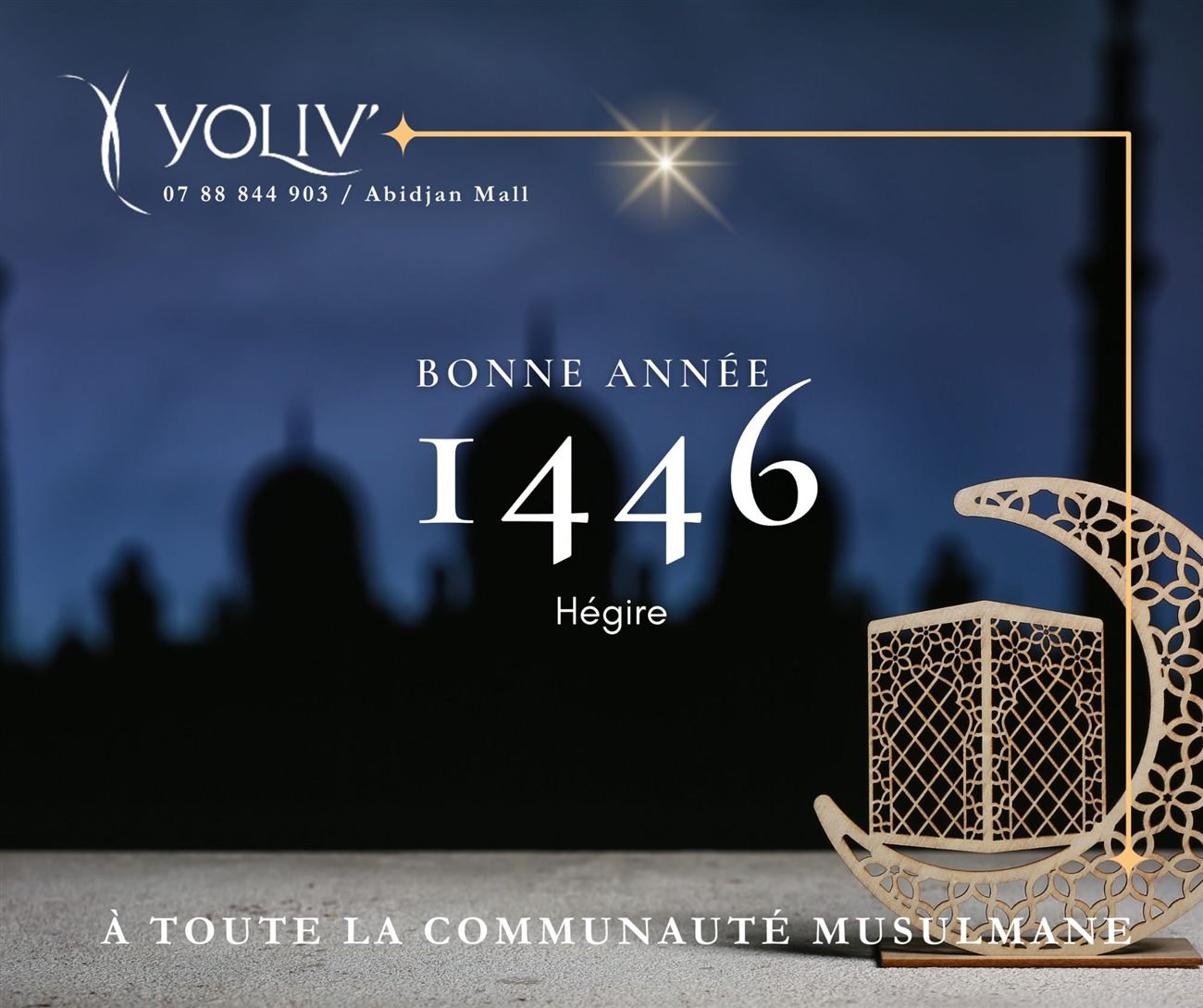 Création sociale YOLIV 2